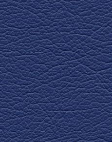 Earthlite Massageliege Spirit mit UltraLeather Bezug und Reiki-Blende beidseitig