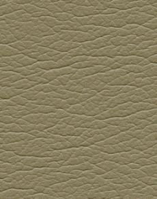 Earthlite Massageliege Spirit mit UltraLeather Bezug und Reiki-Blende beidseitig